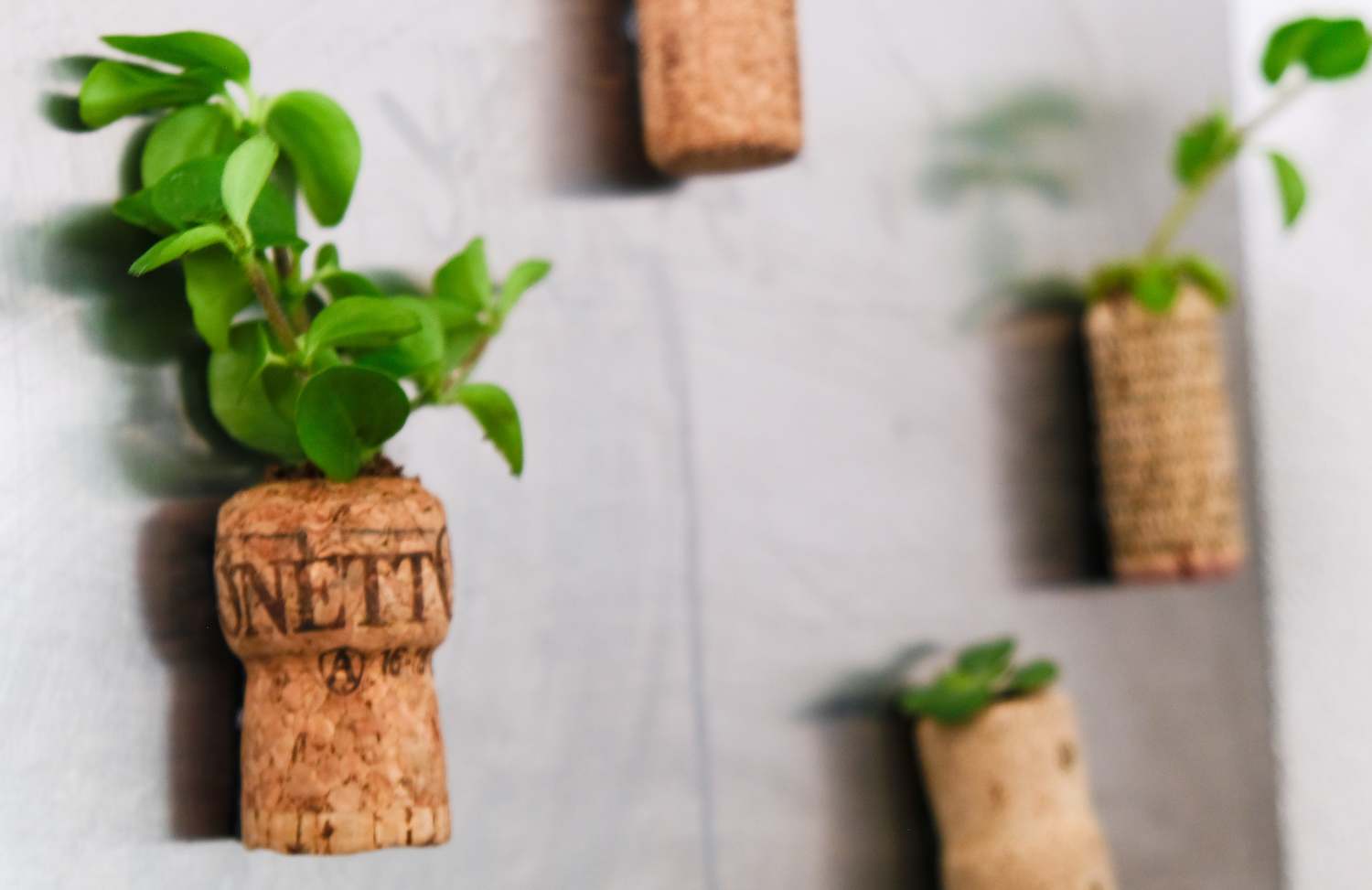 DIY magnetic wine cork planter